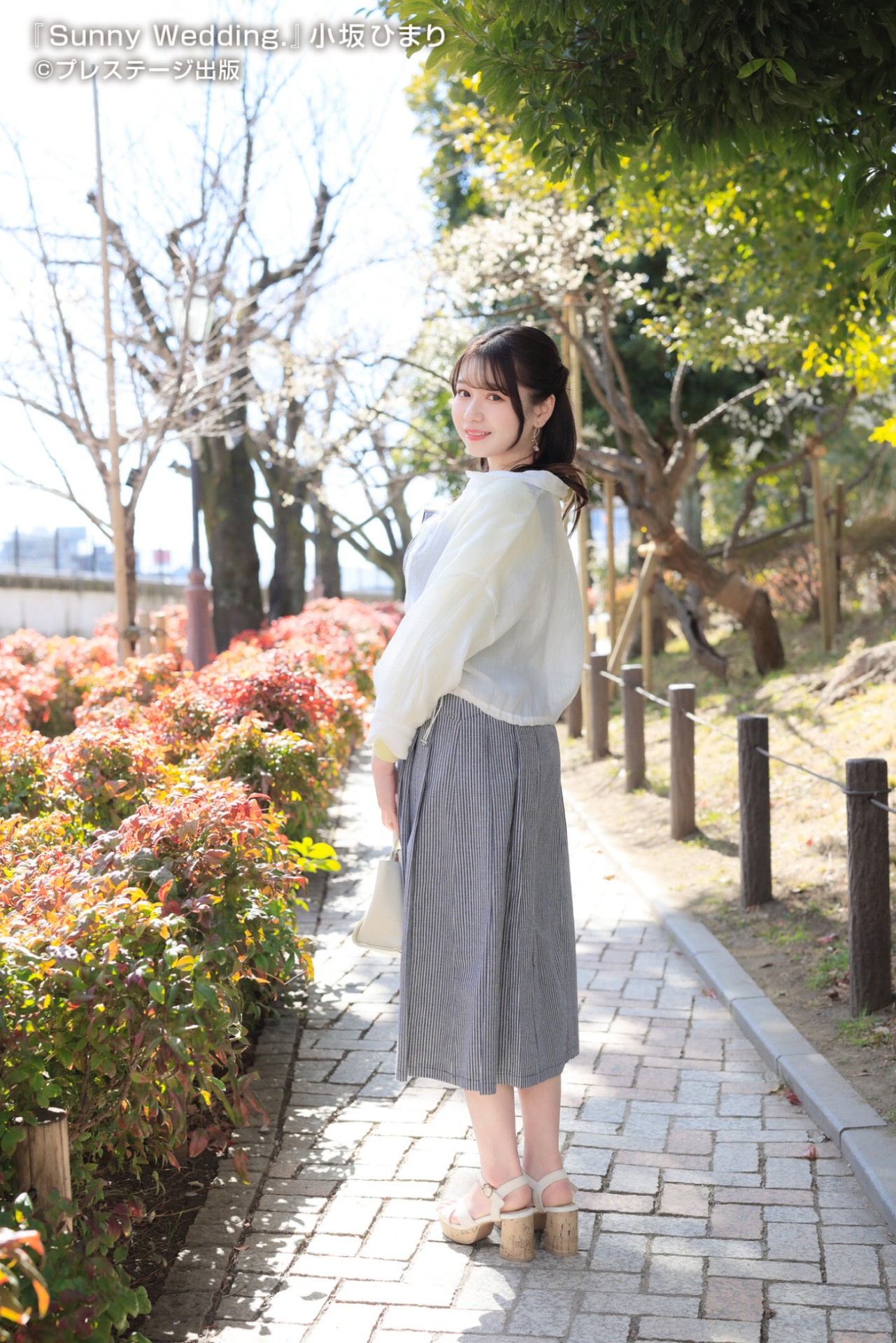 乳揺れダンス動画がtikt○kで有名だったAV女優「小坂ひまり」柔らかIカップヌード写真集出た！『Sunny Wedding』